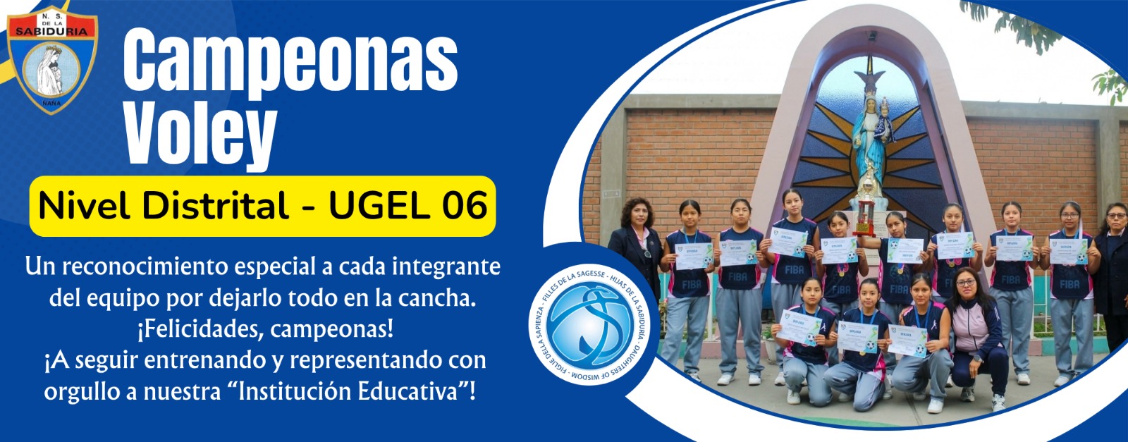 voley